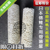 Japans Mototaro raw material bacterial House super-strong culture of nitrifying bacteria Japanese koi Special