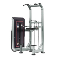 Conlin GS308 upper limb flexor extension trainer commercial trainer gym training equipment