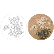  Gongbi painting white sketch background draft hook line physical print draft Liang Yansheng flower sketch 42*42 with color map 299T