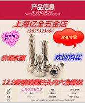 Promotion 12 9 grade nickel-plated hexagon socket head bolt DIN912 cylindrical head hexagon socket screw M3 * 5-60