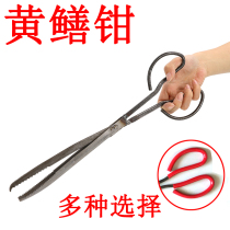 Eel clip Eel pliers fish shrimp clip leech loach clip Catch eel eel hook fish tweezers iron pliers tools