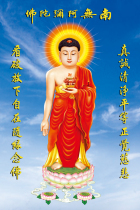 Buddha statue hanging painting Amitabha South without Amitabha Buddha Tight-fitting Amitabha Buddha statue Customized Buddha painting