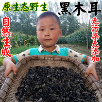 Auricularia auricula 250g black fungus specialty special quality wild super dry dry food