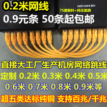 National standard over five categories 0 2 meters 0 3 meters test high quality full pure copper mechanism jumper room wiring network cable