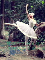 Ballet uniform adult ballet dress costume black and white swan dance dress feather ballet photo uniform