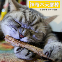  Cat molar snacks Cat teeth cleaning Cat snacks Natural molar catnip rod Wood polygonum stick