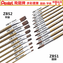 Pentel Pitong Taiwan imported horse mane watercolor painting pen gouache pen round head ZBS1 flat head ZBS2