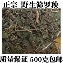 Chinese herbal medicine new products sulfur-free sieve Luo Yan seedling 500g16 yuan