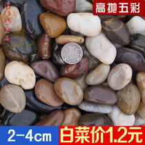 (Factory direct sales) high throwing colorful pebbles paving stone massage stone home decoration stone fish tank Stone