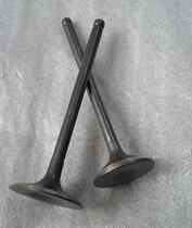 Hailing MX6m4T4 Zongshen 250 Engine Zhenglin Whiteboard Machine Valve Valve Oil Seal