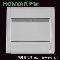 Hangzhou Hongyankang residence A series 86 large wane opening unipolar switch with fluorescent A86K11Y10BN