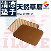 La dog summer mat ice mat ice mat Teddy gold mat bed than bear Bomei pet mat summer Kennel