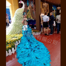 Fangyun Performance Clothing 2012 Spring Festival Gala Yang Liping Peacock Love Dance Clothing