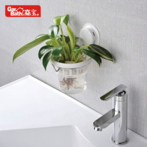 Jiabao suction cup water flower pot plastic creative wall hanging office green dill pot hydroponic chlorophyll plant rack indoor