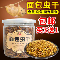 Breadworm Dried barley Zooxanthellum mealworms Hamster hedgehog Turtle feed Turtle granary rat food High protein Arowana feed