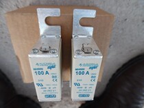 Siba fuse NH000 100A 690V 700V 30KA aR 2029221 (domestic)