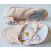 Adult teacher shoes with ethnic dance shoes Cat Paw Shoes Body Modern Dance Shoes Practice Shoes Red Dance Shoes