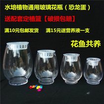 Glass vase flowerpot green vase hydroponic vase rich bamboo flower arrangement