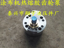 Zhejiang Huaan coating machine gear pump coating machine Hot melt adhesive gear pump Coating machine glue pump