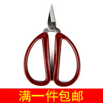 Large Yoshino Character Card Fingernail Scissors Stainless Steel Repair Nail Scissors Cut Toenails Old Manicure Nails Home Small Scissors
