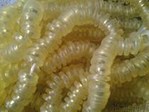 10*20 Elastic ring 10X20 elastic ring elastic pad