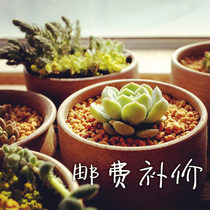 The Mighty Pat postage supplement for the Bear one trillion alley