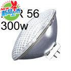 Stage Downlight P56 Bulb Par Light Bulb 300W Pa Bulb 300W Down Bulb Stage Bulb