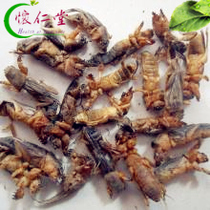 Chinese herbal medicine wild mole-mole cricket rodent rodent dog Lara dog 250 gr whole goods