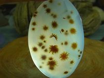 Fine grass flower picture Agate Madagascar Agate picture stone Ocean Chalcedony grass flower HFJ