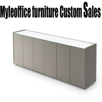 Shanghai office furniture plate cabinet bookcase information cabinet Short-cabinet office cabinet door-door measurement customization