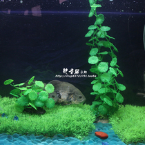Fish tank decoration simulation water plant landscaping water plant fish tank jewelry long lotus leaves multi-size