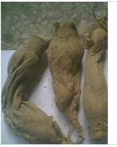 Chinese herbal medicine radish shell 500g