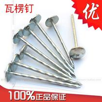 New products Promoted tack Nail Corrugated Nail Galvanized With Cap Iron Nails Iron Nails Iron Nails