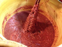 Wenzhou specialty homemade pure fish raw white raw pickled young octopus about 500g Free vegetable head shredded sour and cool rice