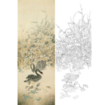 Meticulous painting draft Zhang Xianming Swan 44*125 hook line physical print with color picture 549T