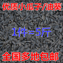 Bird food Black Pearl melon seed sunflower seed sunflower seed parrot feed hamster snack bird food 5kg