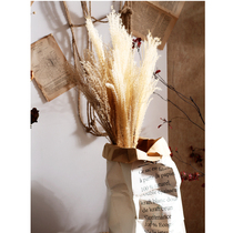 (Mountain tree) for the Buddha literature and art beautiful home decoration dried flowers wild reeds small reed flowers