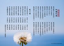 Amitabhas wide-hearted ballad 21 wish a variety of sizes and colors can be customized