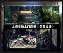 Shanghai door-to-door landscaping~aquarium aquatic plants~fish tank aquatic plants~grass tank package~foreground grass~real aquatic plants landscaping