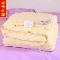 Xiangshang silkworm warm 2021 New mulberry silk quilt autumn and winter hand thickened Four Seasons mother quilt children