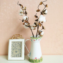 Nordic iron hand-painted vase flower shower kettle idyllic crafts creative home decorations new home gifts