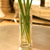 Simple modern glass square jar vase flat square cylinder hydroponic plant Lily rich bamboo simple creative vase