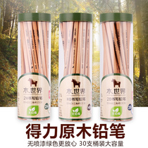 Deli S943 Safety Log Graphite Pencil 2B HB 2H Triangle Hexagonal Bar Correction Posture 30 Barrels