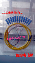 Bundle pigtail 12-core SCC single-mode beam pigtail fiber pigtail Telecom grade