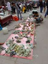  Hetian jade bracelet monopoly customer special shot