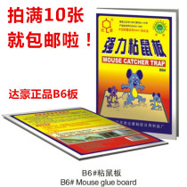 Dachau B6 sticky mouse board super strong mouse glue clip rodenticide mouse TRAP mouse paste 10