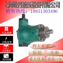 Manufacturer direct selling quality high efficiency low noise 100YCY 100YCY14-1B Shanghai automatic variable plunger pump