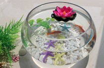 Glass flowerpot bowl lotus water lily flower hydroponic vase fish tank large diameter glass bottle