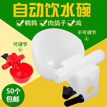 Quail pigeon automatic drinking fountain drinking bowl automatic feeding chicken automatic drinking water bowl drinking fountain pigeon supplies