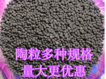 Ceramic manufacturers Water treatment ceramic Building ceramic Biological ceramic Hot sale